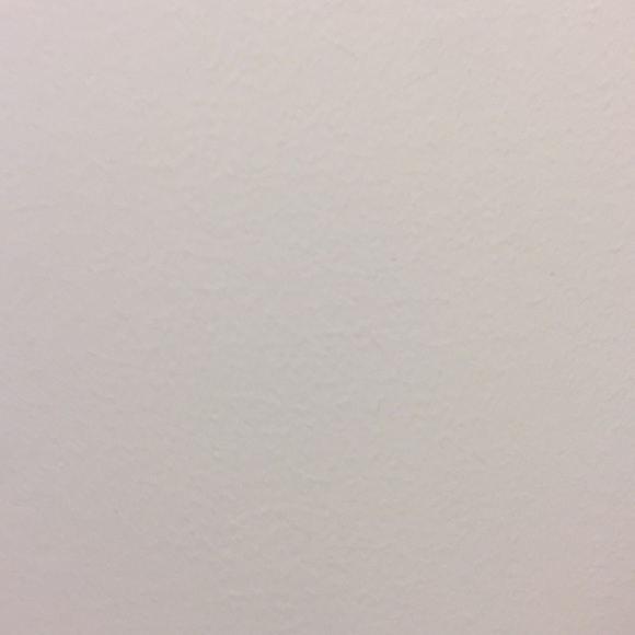 Meet your Posher, Lacy - Picture 1 of 1